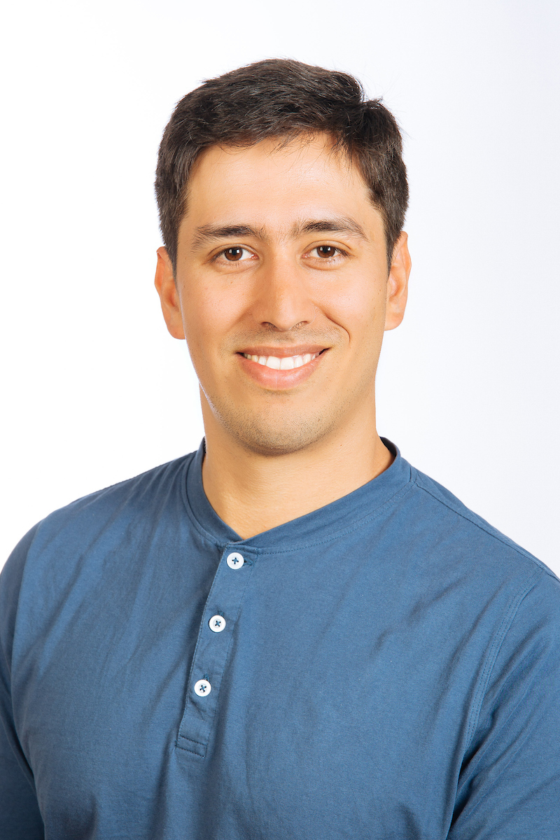 David's portrait